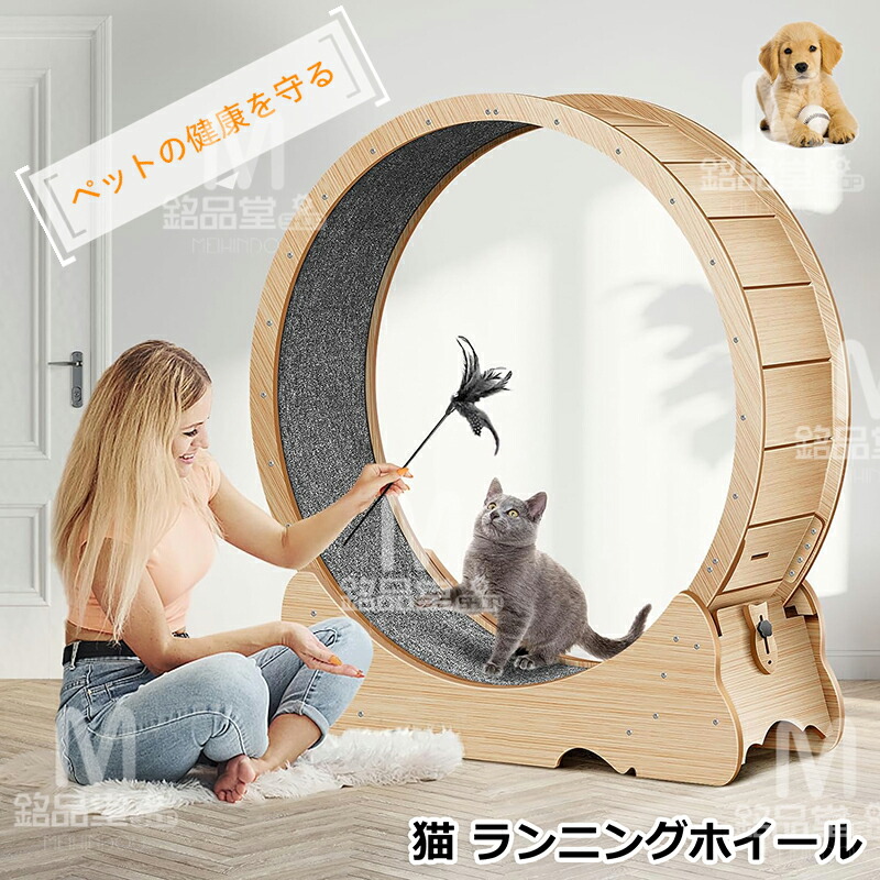 楽天市場】楽天1位獲得☆ キャットホイール 猫 ランニング