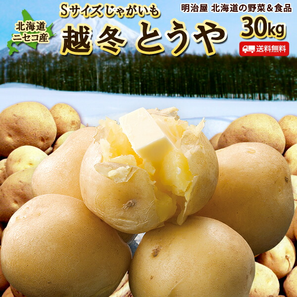 訳あり じゃがいも 送料無料 30kg 小さなとうや 北海道生産 ニセコ産 S大いさ ポテト レッドネック トウヤ わけあり ワケムハンマドアリー 草片 Sとうや Thaurok Com Br