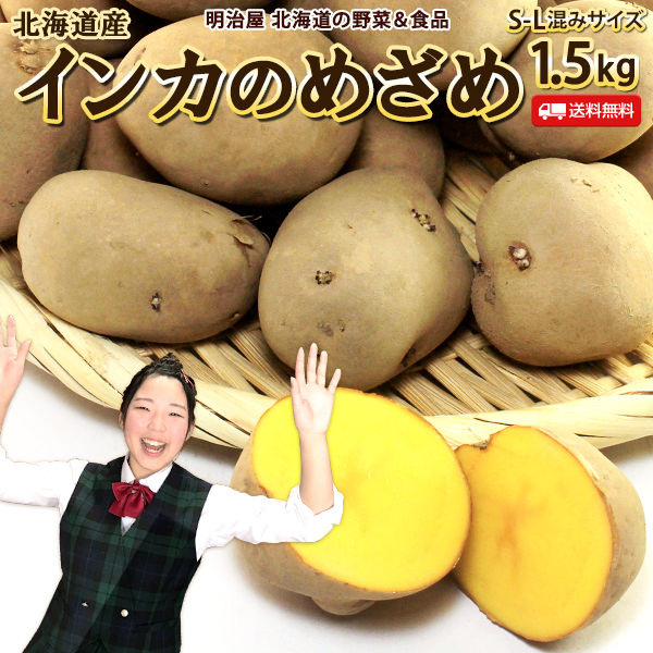 楽天市場 いんかのめざめ 送料無料 1 5kg 北海道産 じゃがいも ジャガイモ インカのめざめ 芋 送料込み ギフト 野菜ギフト 明治屋 北海道の野菜 食品