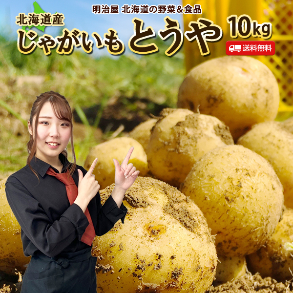 本日収穫 新じゃが とうや サイズ不選別 じゃがいも 茨城県産 25kg wake-hkdjaga-10.jpg