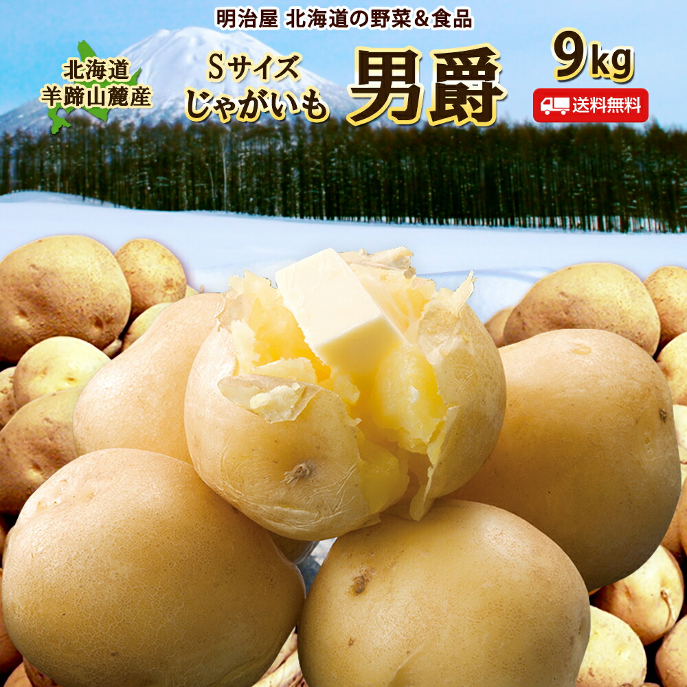徳島産新じゃがいもMサイズキタアカリ20キロ④ potato0412_02.jpg