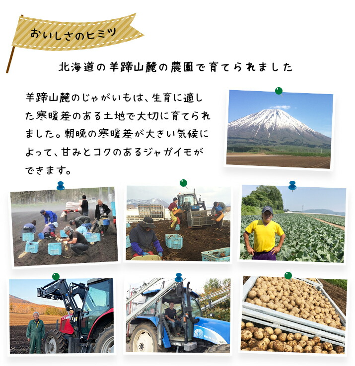 じゃがいも送料無料北あかり9kg北海道産M〜Lサイズ野菜ギフト野菜お歳暮ジャガイモ芋キタアカリきたあかり送料込み混み北