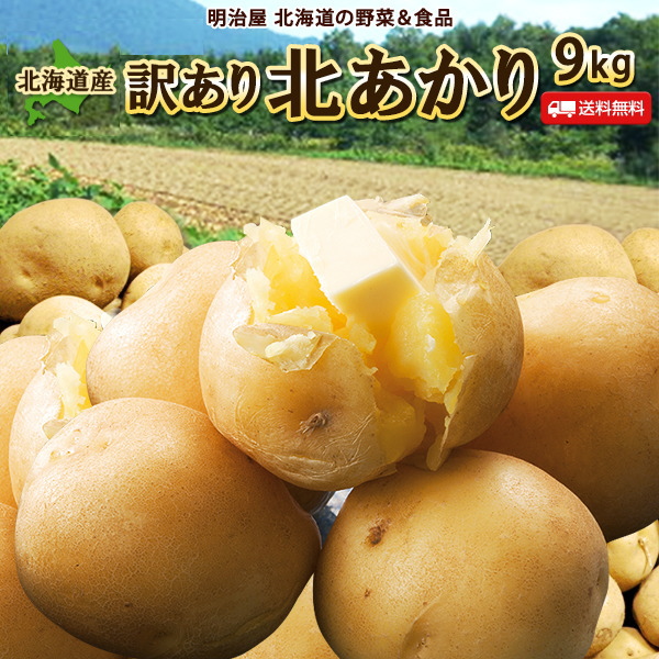 【出荷中】新じゃがいも 送料無料 北あかり 9kg 訳あり 北海道産 ニセコ産 サイズ混み ジャガイモ 芋 キタアカリ きたあかり わけあり ワケアリ 訳北■きたあかりB●