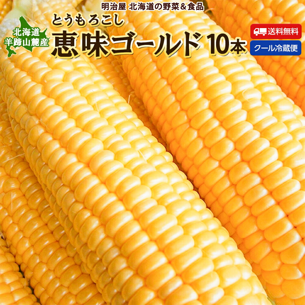 【予約商品】【8月下旬-9月上旬お届け】★500円OFFクーポン発行中★とうもろこし 送料無料 恵味ゴールド L-LLサイズ 10本 朝採り 北海道ルスツ産 生で食べれる！ 冷蔵便 スイートコーン トウモロコシ とうきび 生食OK！
