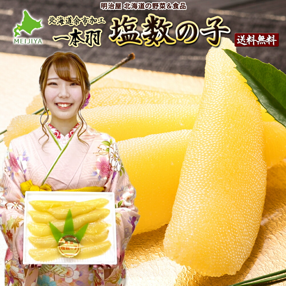 ◇割引クーポン発行中◇塩数の子 送料無料 500g/1kg 500g箱対応 1本羽 化粧箱 北海道加工 ジャンボ 特大-特々々大 御歳暮ギフト送料込み 数の子 かずのこ カズノコ 海産ギフト 塩化粧 贅沢おつまみ 4月10月冷蔵便発送 11月-3月常温便発送