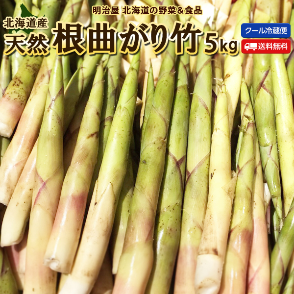 たけのこ 送料無料 根曲がり竹 5kg 生 北海道産 天然 春の山菜 タケノコ たけのこ クール便 筍 御中元