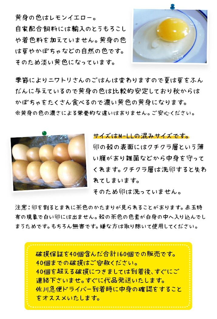 人気ブレゼント! たまご 送料無料 自然卵 160個 北海道産 赤玉鶏 破損保証40個含む 常温発送 平飼い 放し飼い 送料込み 卵 玉子 タマゴ  automy.global