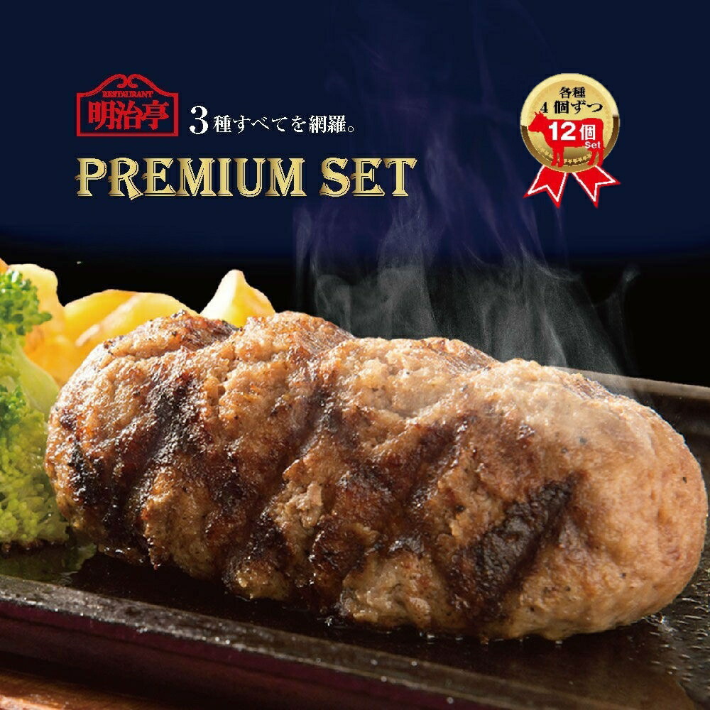 ★12個セット★３種ハンバーグ×各４個【送料無料】3種ハンバーグが全て入ったPREMIUM SET12個入 近江牛100％ハンバーグ ＆ 近江牛ブレンド明治亭ハンバーグ（デミグラス) ＆ 近江牛ブレンド粗挽きハンバーグ【 母の日 父の日 御中元 湯せん 温めるだけ 冷凍 簡単調理】