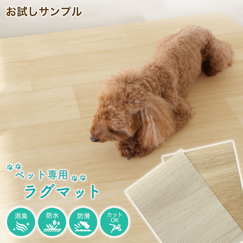 グレー 犬用カーペット フワフワ Amazon | カーペット グレー ふわふわ リビング センターラグ