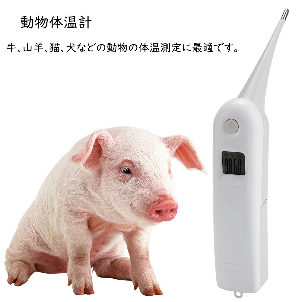 楽天市場 送料無料 速い デジタル体温計 ペットの動物 犬 猫 豚 人 家禽 動物体温計 Meiyidoushop