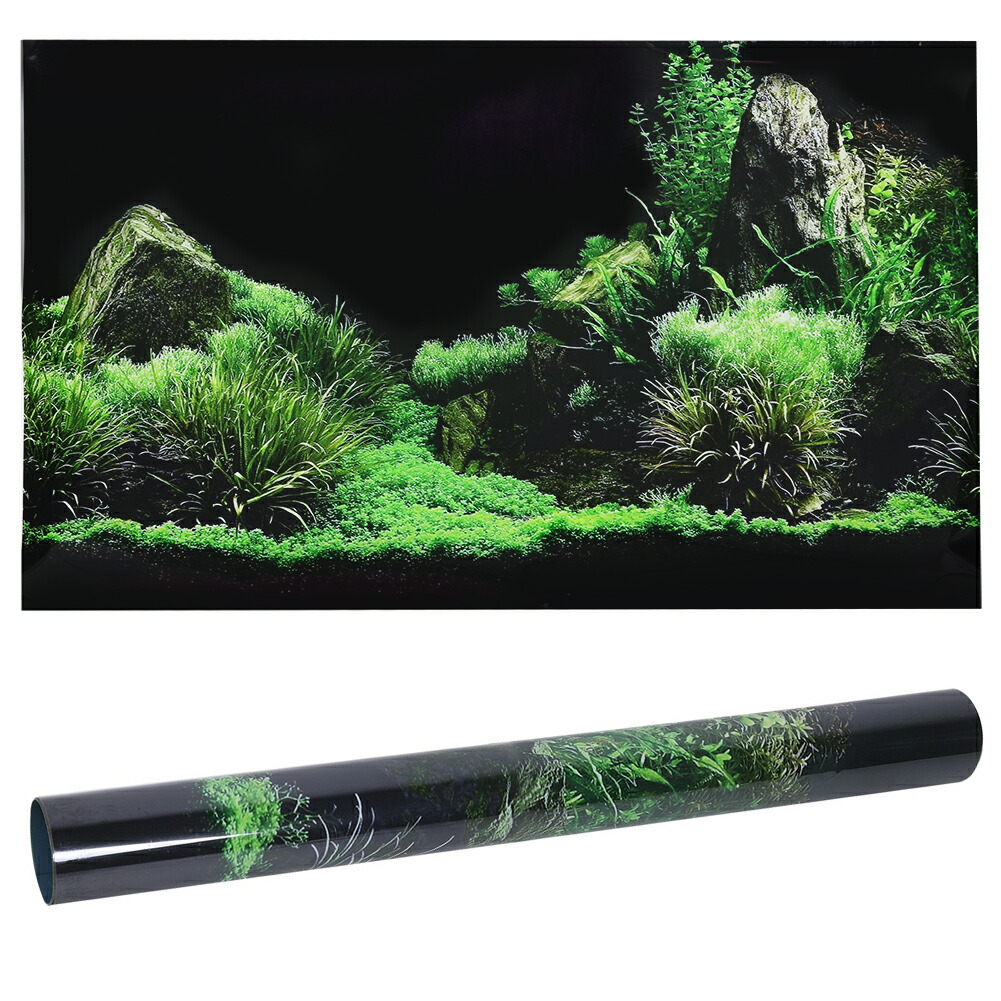 ADA バックスクリーン60cm  NTKVISION 60cm 水槽 バックスクリーン」の人気商品一覧 | 安い商品を通販