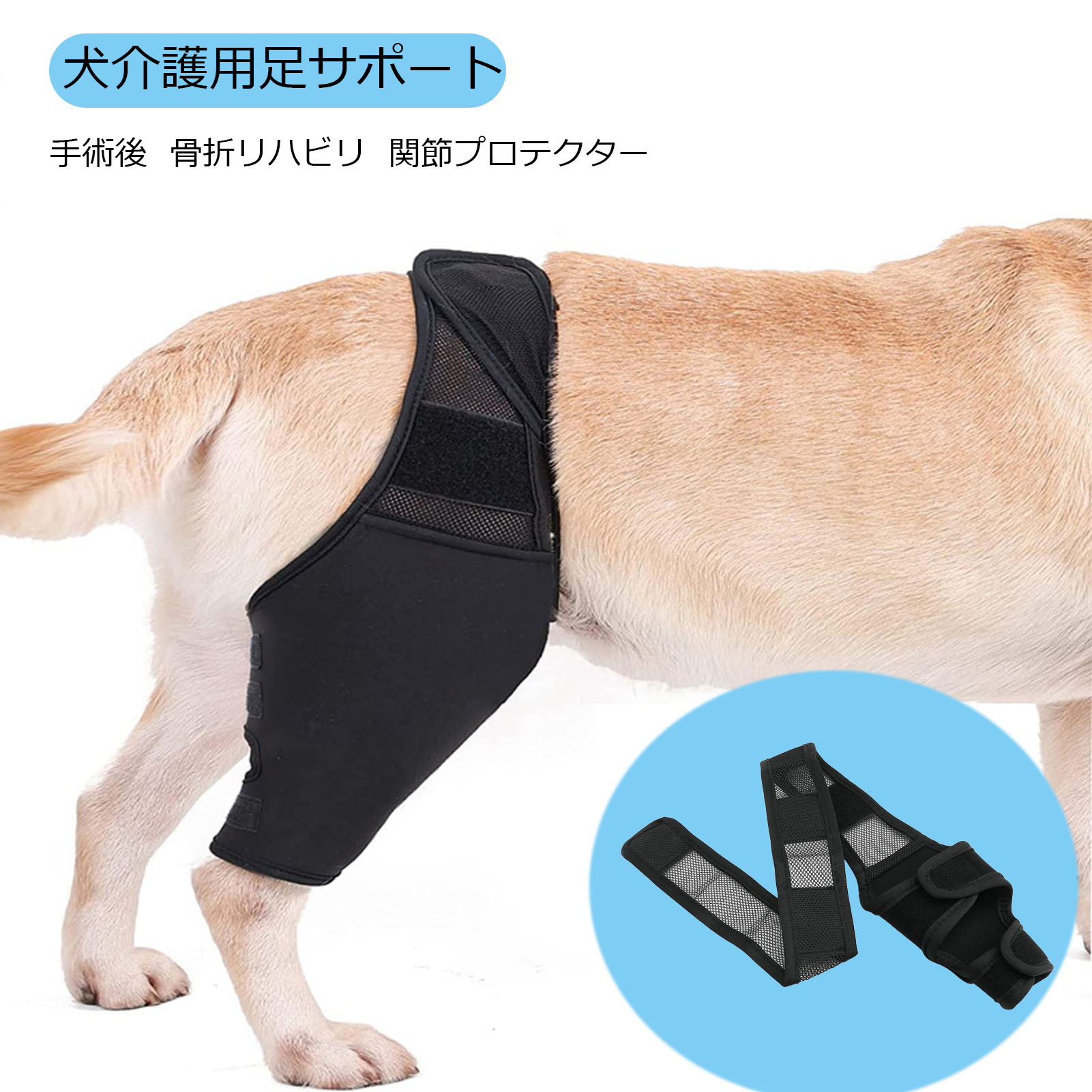 楽天市場】【anifull 公式】 アニサポ ヒップ 小型犬向け