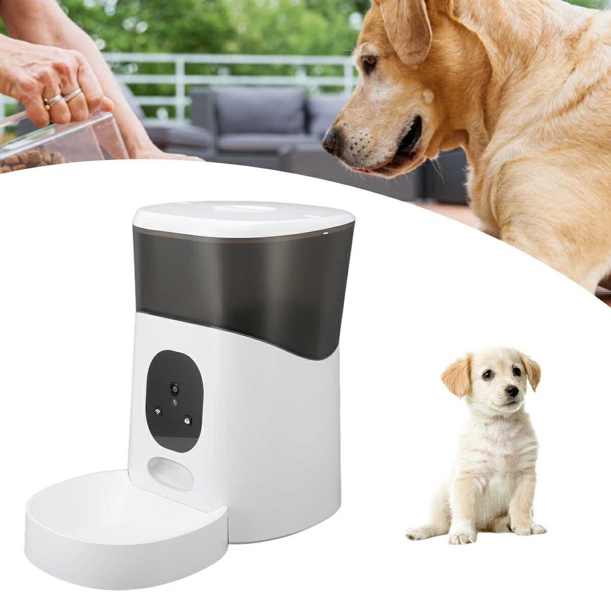 希望者のみラッピング無料 送料無料 自動餌やり機 自動給餌器 タイマー機能 カメラ付き 5l 猫 犬 アプリ 留守番 スマホ連動型 タイマー 見守りカメラ 遠隔操作 動画 撮影 給餌器 ペット給餌器 スマホ ペットフードディスペンサー ペットフィーダー カメラ機能 Wifi Toyama