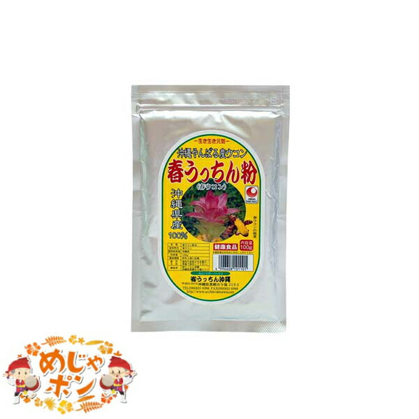 613円 有名なブランド 沖縄県産品 春ウコン粉末 袋 100g 613円 有名なブランド 沖縄県産品 春ウコン粉末 袋 100g