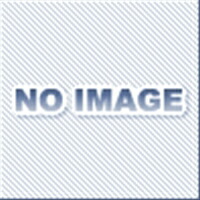 鉄槌キャスター 8401-UR100 ウレタン その他-花・ガーデン・DIY-DIY・工具