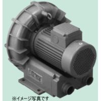 TERAL テラル VFZ401A 三相 標準型 リングブロワー