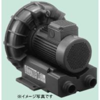 TERAL テラル VFZ601AN 三相 低騒々しい音形 リングブロワー