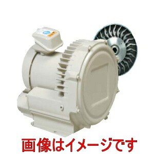 日立産機システム VB-004S-G 単相100V／200V共用 ボルテックスブロワ Gシリーズ