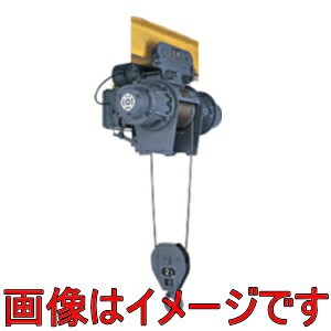 日立産機システム 1L-T55 ローヘッド形ホイスト