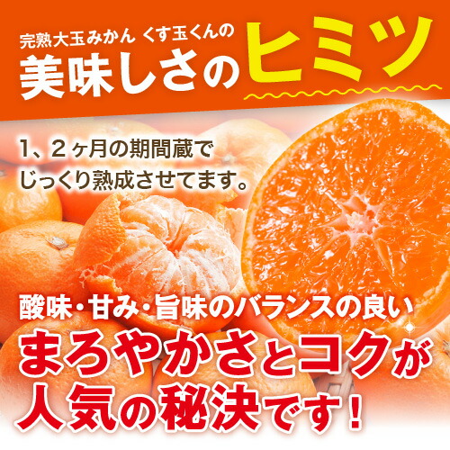 訳あり】 送料無料 みかん 10kg 完熟大玉みかん くす玉くん 産地直送