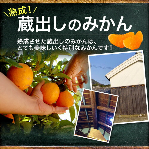 訳あり】 送料無料 みかん 10kg 完熟大玉みかん くす玉くん 産地直送