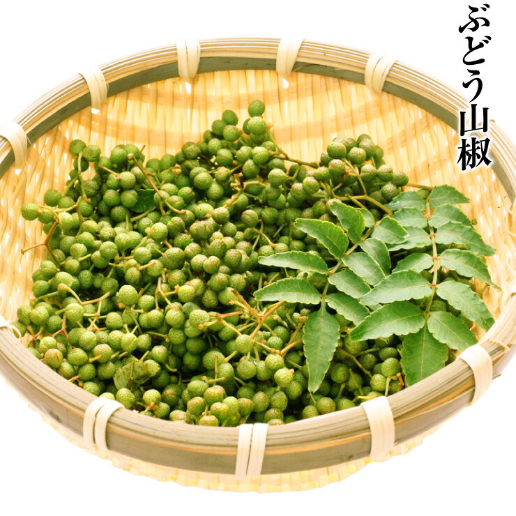 山椒 生山椒 山椒の実 500g 紀州和歌山特産 山の宝石 国産 ぶどう山椒 500ｇ  実山椒 産地直送 さんしょう クール便配送 和歌山県 有田川 国産 山椒 調味料 花椒 スパイス