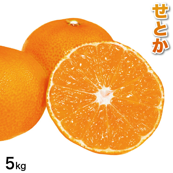 【楽天市場】秀品 ギフト せとかみかん 5kg せとか おいしい 甘い フルーツ ギフト 贈答用 贈り物 5.0kg 春みかん 果物 フルーツ ...