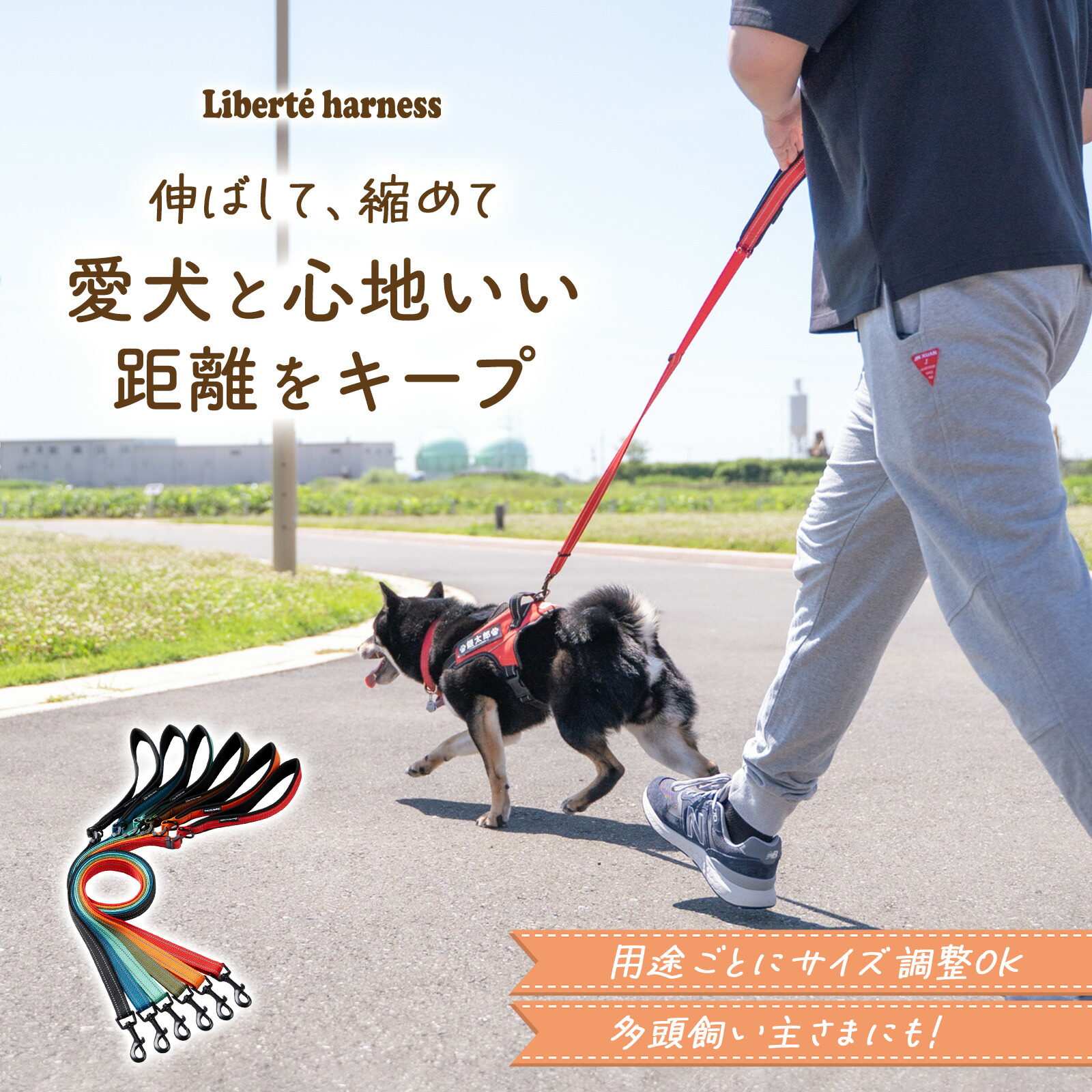 ☆ リード 犬 反射素材 定番 スタンダード 中型犬 大型 すい レッド 163 ☆ リード 犬 反射素材 定番 スタンダード 中型犬 大型 すい レッド 163
