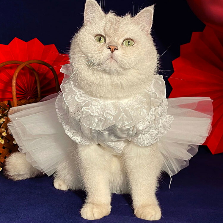 ペット服 犬服猫服 ウェディングドレス ドッグウェア ワンピ 結婚式 犬服 挙式 超豪華 キャットウェア フォーマル ウェディング