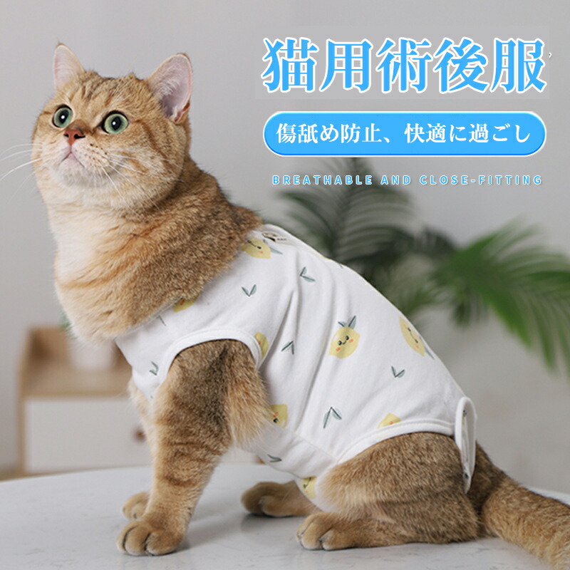 猫 人気 服 噛む