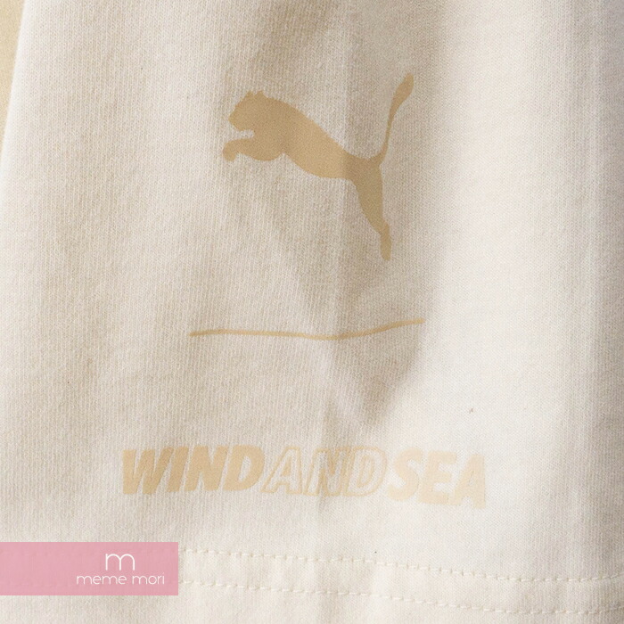 国内配送 Sale Wind And Sea Puma aw Bye Dye Ss Tee 01 ウィンダンシー プーマ バイダイショートスリーブtシャツ 半袖カットソー ナチュラル サイズm 0802 新古品 ついに再入荷 Antofagastaen100palabras Cl