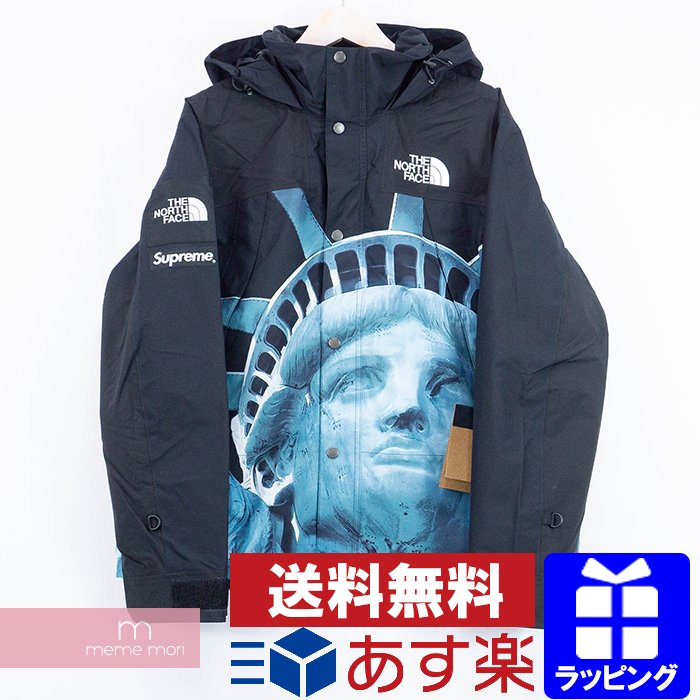 supreme the north face mountain jacket