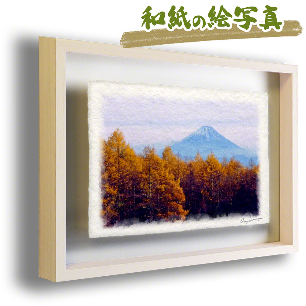 偉大な 和紙の絵写真 額入り 63x51cm 秋 黄色 富士山と黄葉のカラマツ