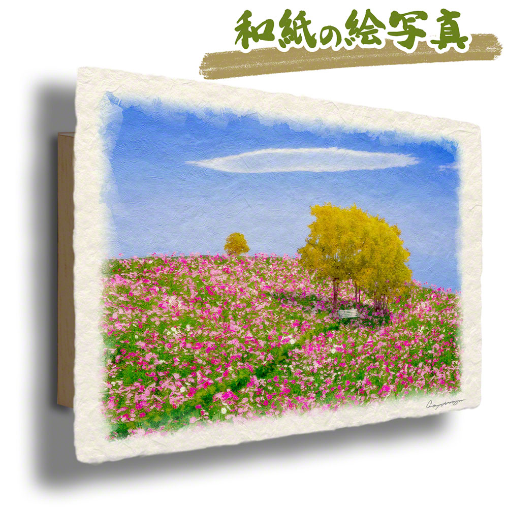 和紙 アートパネル 48x33cm 花の絵 油絵 絵画 インテリア 風景画 玄関 花 ピンク 秋 秋の空とコスモスの丘の木立と白いベンチ 木