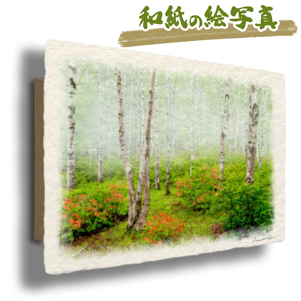日本最大の 和紙の絵写真 30x21cm アートパネル 花 夏 赤 白 木 森