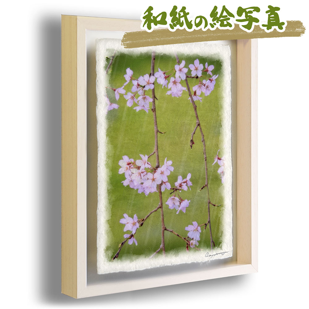 和紙 アート フレーム 31x23cm 花 春 ピンク しだれ桜の花 絵画 額入り 油絵 風景画 通信販売
