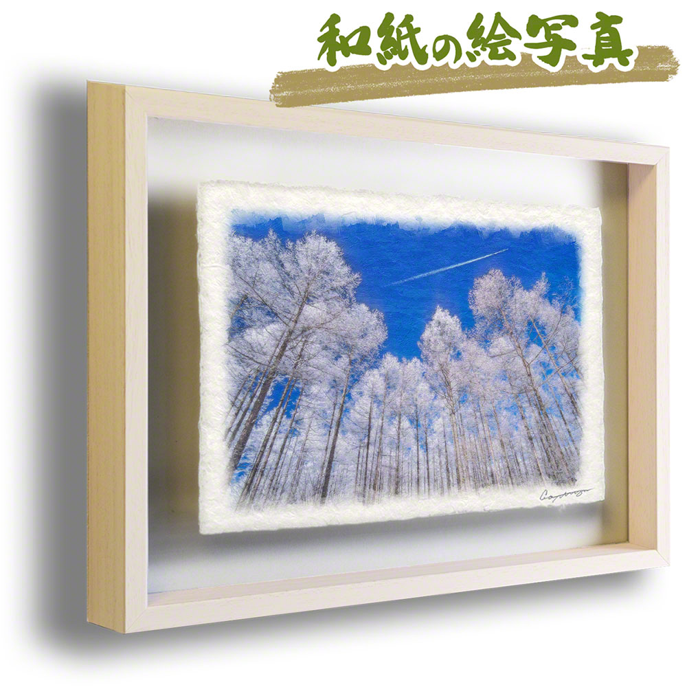 絵 風水 絵画 玄関 おすすめ 運気が上がる絵 インテリア アートパネル 風景画 おしゃれ 開運 金運 トイレ 玄関 に 飾る 絵 画 壁掛け 和紙の絵写真 額縁付き 44x31cm 冬 白 「青空と見上げるカラマツの樹氷」|玄関に飾る風水絵画 アートセピア