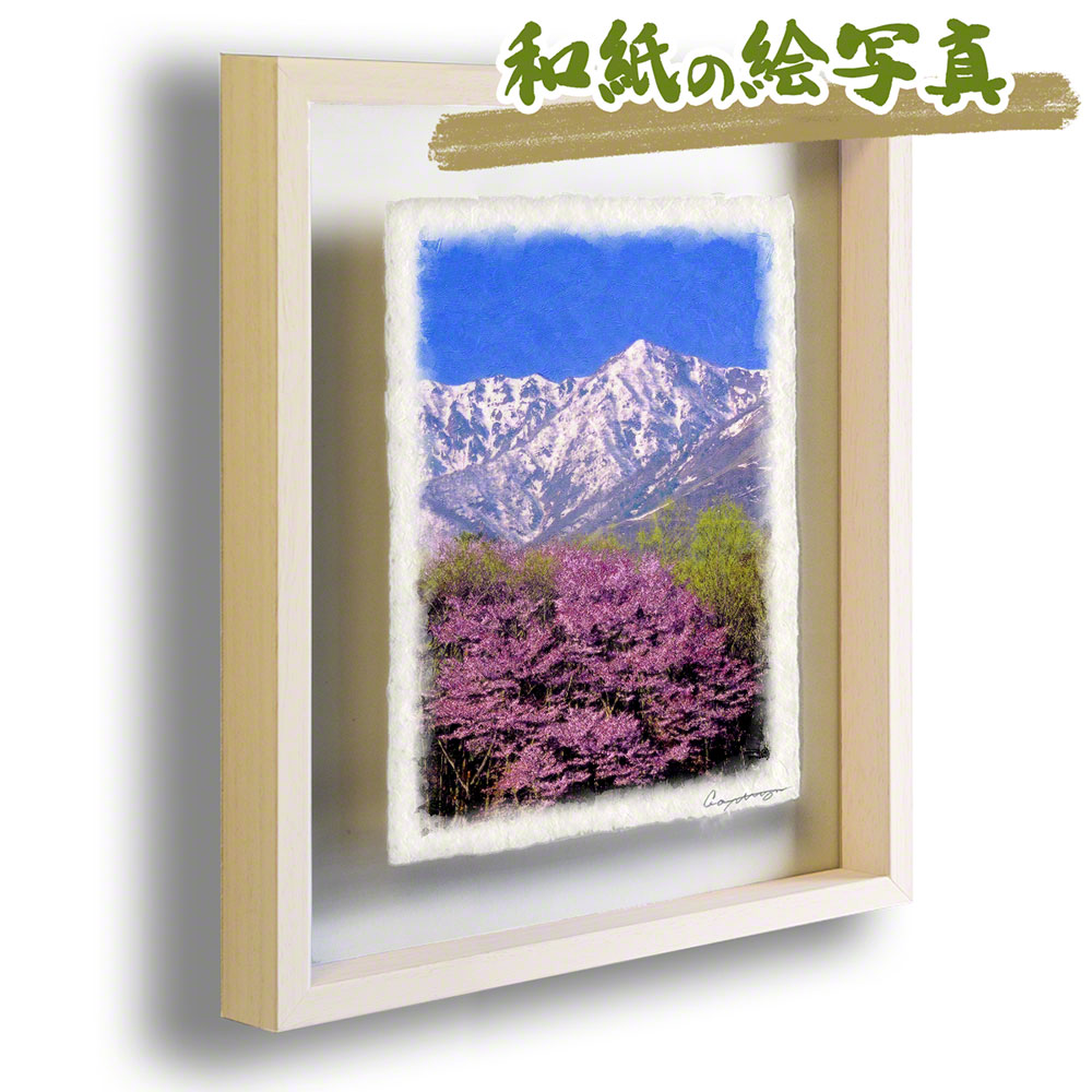 和紙 アート フレーム 44x31cm 花 春 ピンク 残雪の北アルプスと大山桜 絵画 額入り 油絵 風景画 贈る結婚祝い