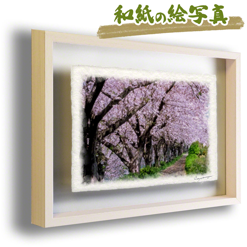 高い品質 フレーム ピンク 春 おしゃれ 絵画 花 春 壁掛け アート アート 美術品 骨董品 民芸品 53x38cm インテリアアート Naturalmemories絵画のような写真のような優しい風合い 風景のグラフィックアートを和紙にプリントして額縁に 風景画 インテリア 和紙
