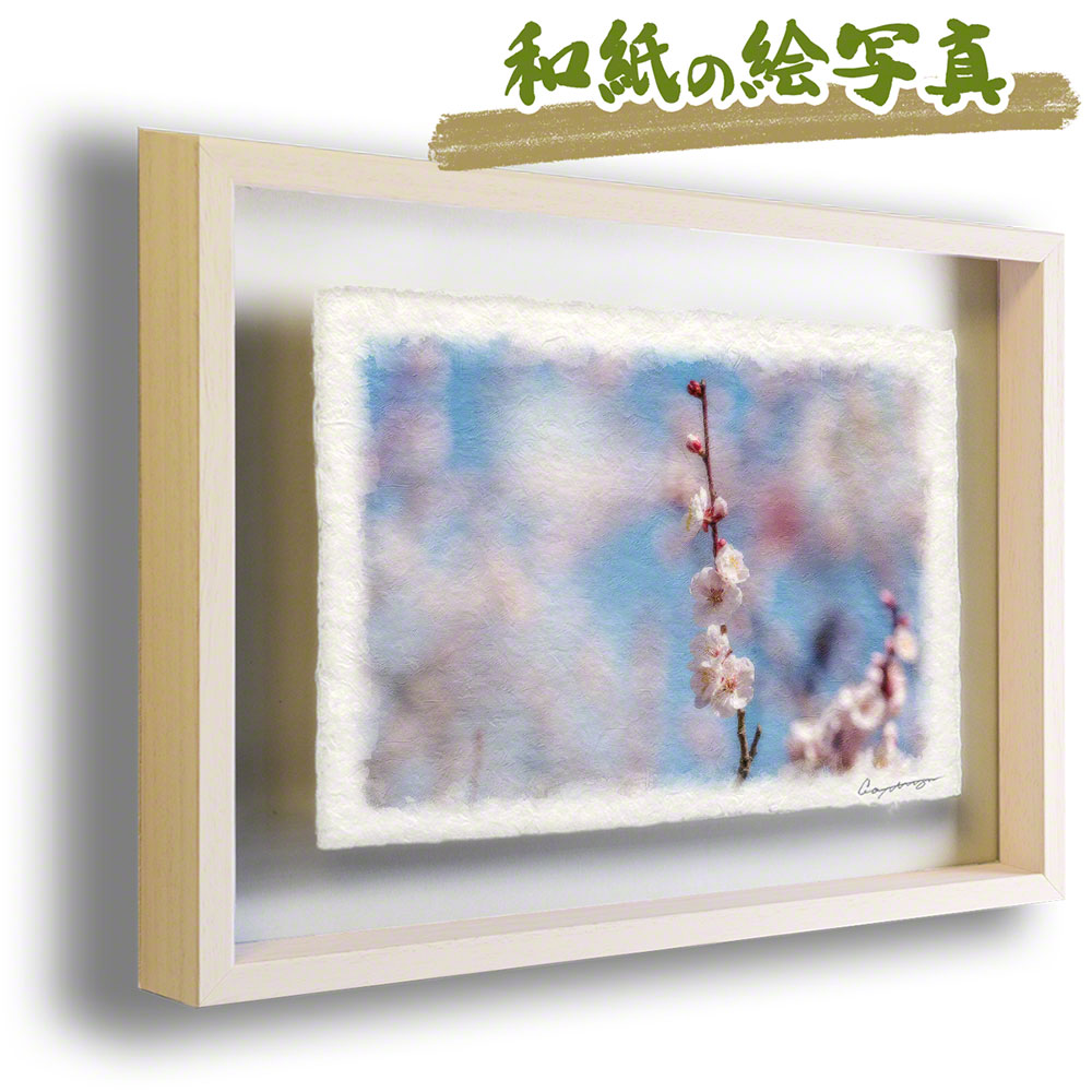和紙 アート フレーム 31x23cm 花 春 ピンク 「淡い青空と薄ピンク色の梅の枝」 絵画 絵画 額入り 絵画 油絵 風景画 絵画 風景画
