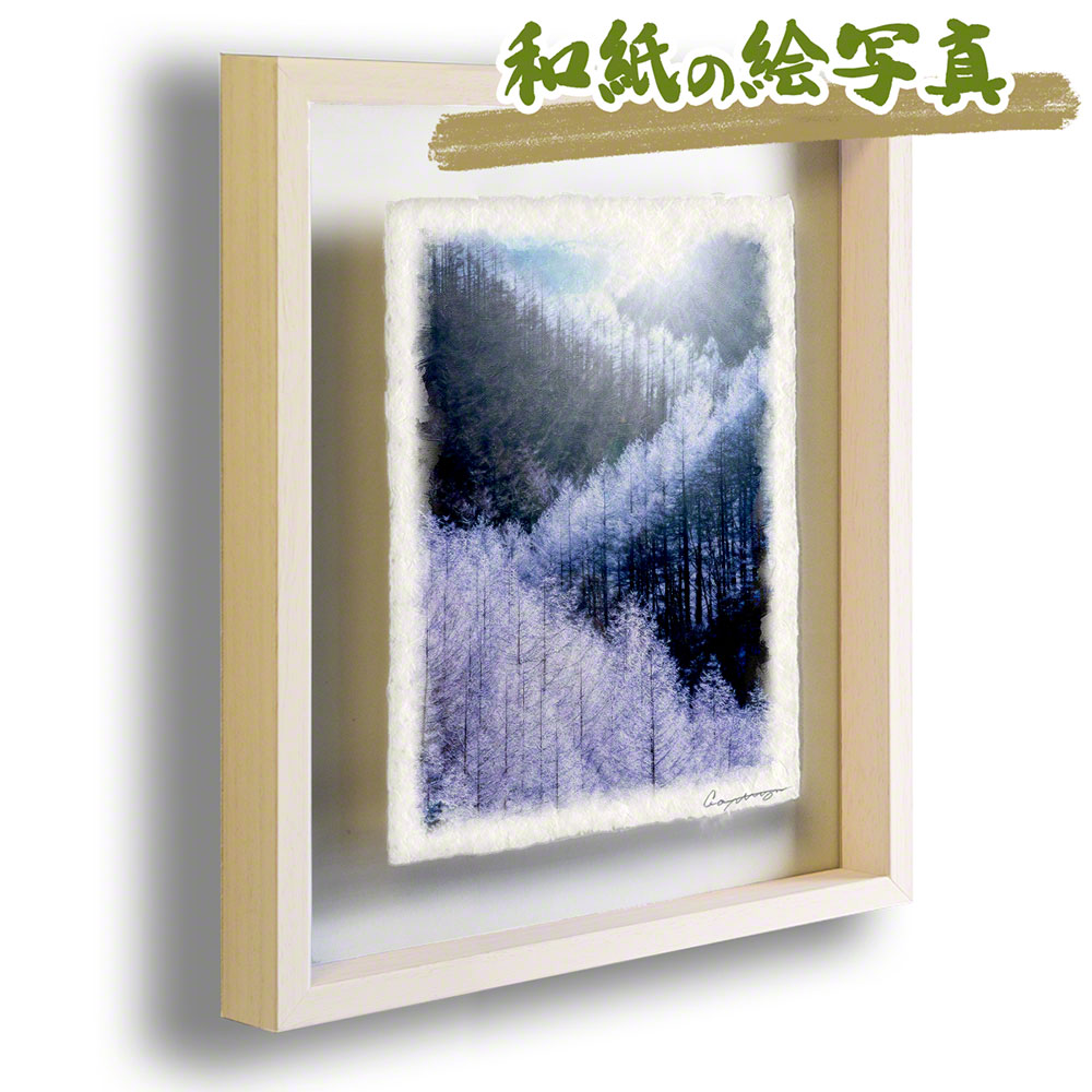 SALE／93%OFF】 和紙の絵写真 額入り 63x51cm 冬 木 森 白 太陽と