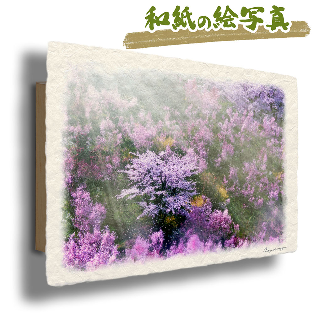 おしゃれ花アートパネル48x33cm インテリアアート和紙 春の花木に囲まれたソメイヨシノ ピンクnaturalmemories 壁掛け絵画のような写真のような優しい風合い 風景のグラフィックアートを和紙にプリントしてアートパネルに ピンク春インテリア和紙絵画風景画春