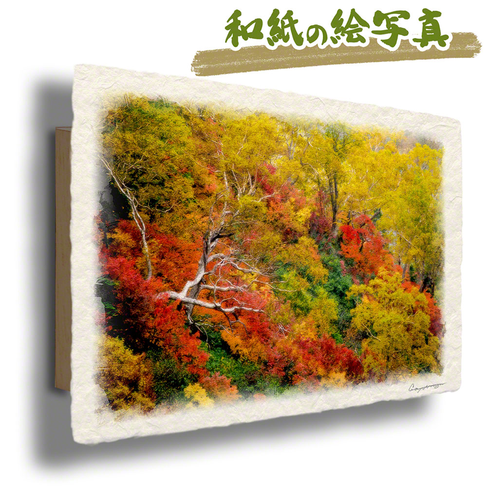 玄関に飾ると運気が上がる絵画 和紙の絵写真 「紅葉の中の立ち枯れした木」 風水 絵画 玄関 おすすめ 玄関 絵 開運 金運 インテリア 絵 アートパネル 風景画 おしゃれ 壁掛け トイレに飾る絵 木 森 秋 赤|玄関に飾る風水絵画 アートセピア