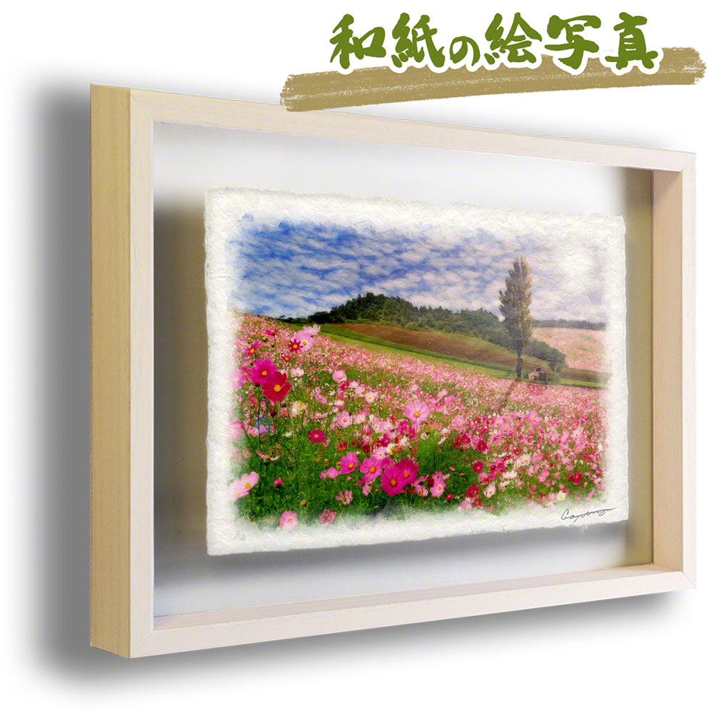 58%OFF!】 和紙の絵写真 額入り 71x56cm 花 ピンク 秋 太陽とコスモス