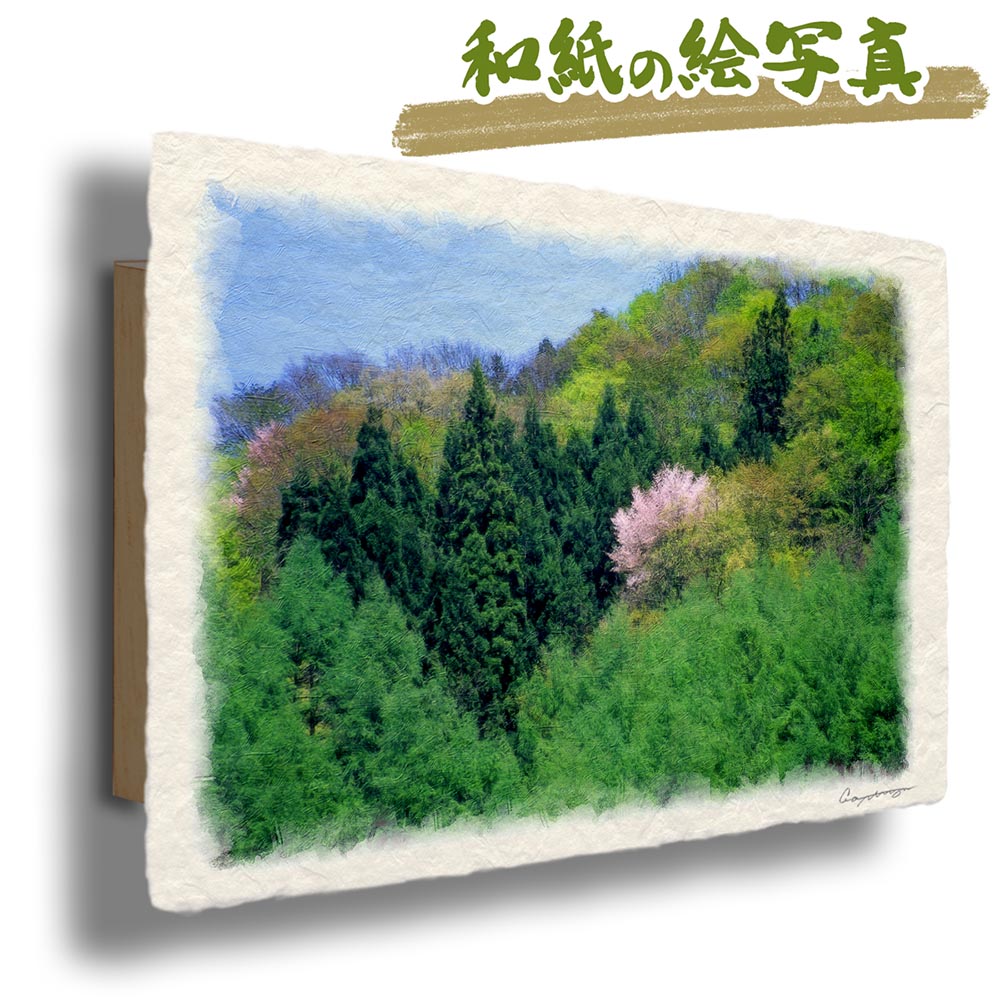 玄関に飾ると運気が上がる絵画 和紙の絵写真 「新緑の中に咲く山桜」 風水 絵画 玄関 おすすめ 玄関 絵 開運 金運 インテリア 絵 アートパネル 風景画 おしゃれ 壁掛け トイレに飾る絵 花の絵 春 木 森|玄関に飾る風水絵画 アートセピア