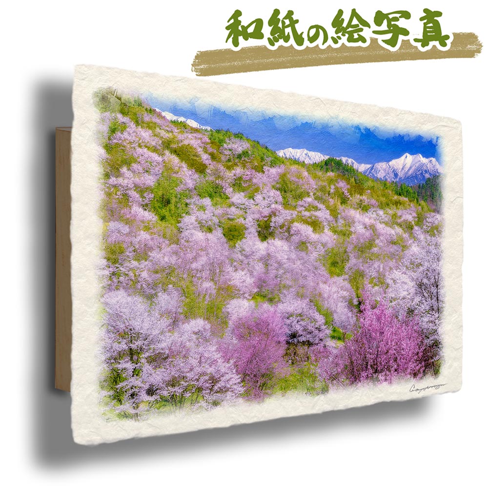 玄関に飾ると運気が上がる絵画 和紙の絵写真 「山桜の山の上の残雪の北アルプス」 風水 絵画 玄関 おすすめ 玄関 絵 開運 金運 インテリア 絵 アートパネル 風景画 おしゃれ 壁掛け トイレに飾る絵 春 ピンク 山の絵 花の絵|玄関に飾る風水絵画 アートセピア