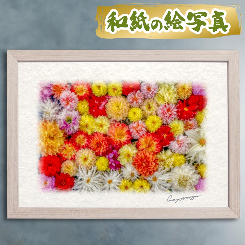 玄関に飾ると運気が上がる絵画 和紙の絵写真 「一面のダリアの花(オレンジ)」 風水 絵画 玄関 おすすめ 玄関 絵 開運 金運 インテリア 絵 アートパネル 風景画 おしゃれ 壁掛け トイレに飾る絵 秋 花の絵 花手水｜玄関に飾る風水絵画 アートセピア
