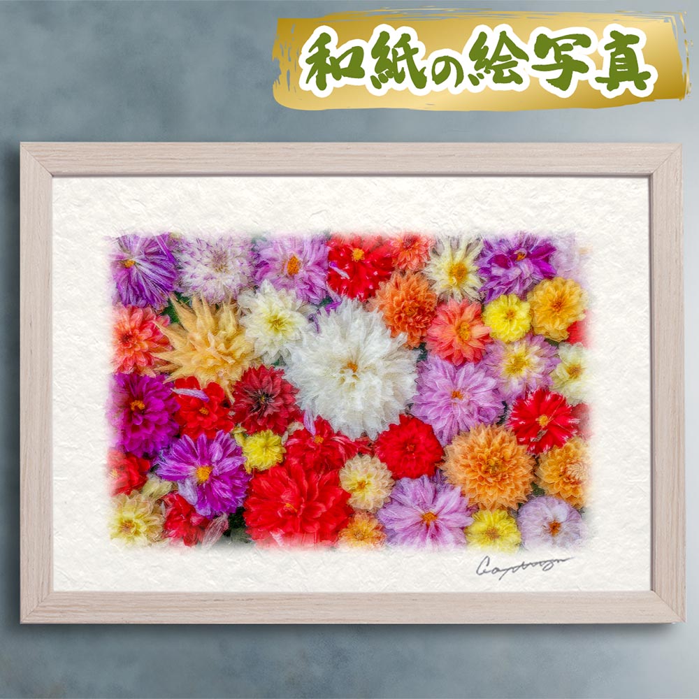 玄関に飾ると運気が上がる絵画 和紙の絵写真 「一面のダリアの花(白大)」 風水 絵画 玄関 おすすめ 玄関 絵 開運 金運 インテリア 絵 アートパネル 風景画 おしゃれ 壁掛け トイレに飾る絵 秋 花の絵 花手水｜玄関に飾る風水絵画 アートセピア