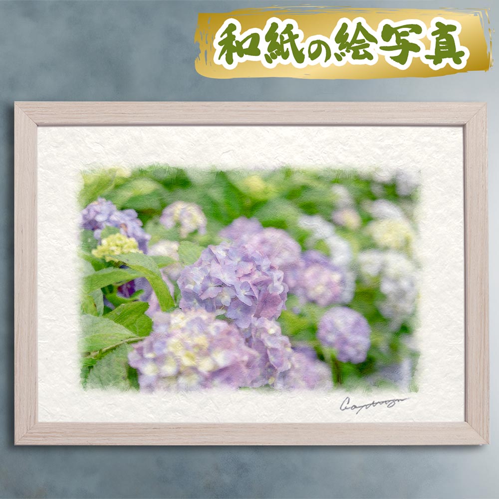 玄関に飾ると運気が上がる絵画 和紙の絵写真 「薄ピンク色のあじさい」 風水 絵画 玄関 おすすめ 玄関 絵 開運 金運 インテリア 絵 アートパネル 風景画 おしゃれ 壁掛け トイレに飾る絵 夏 ピンク 花の絵|玄関に飾る風水絵画 アートセピア