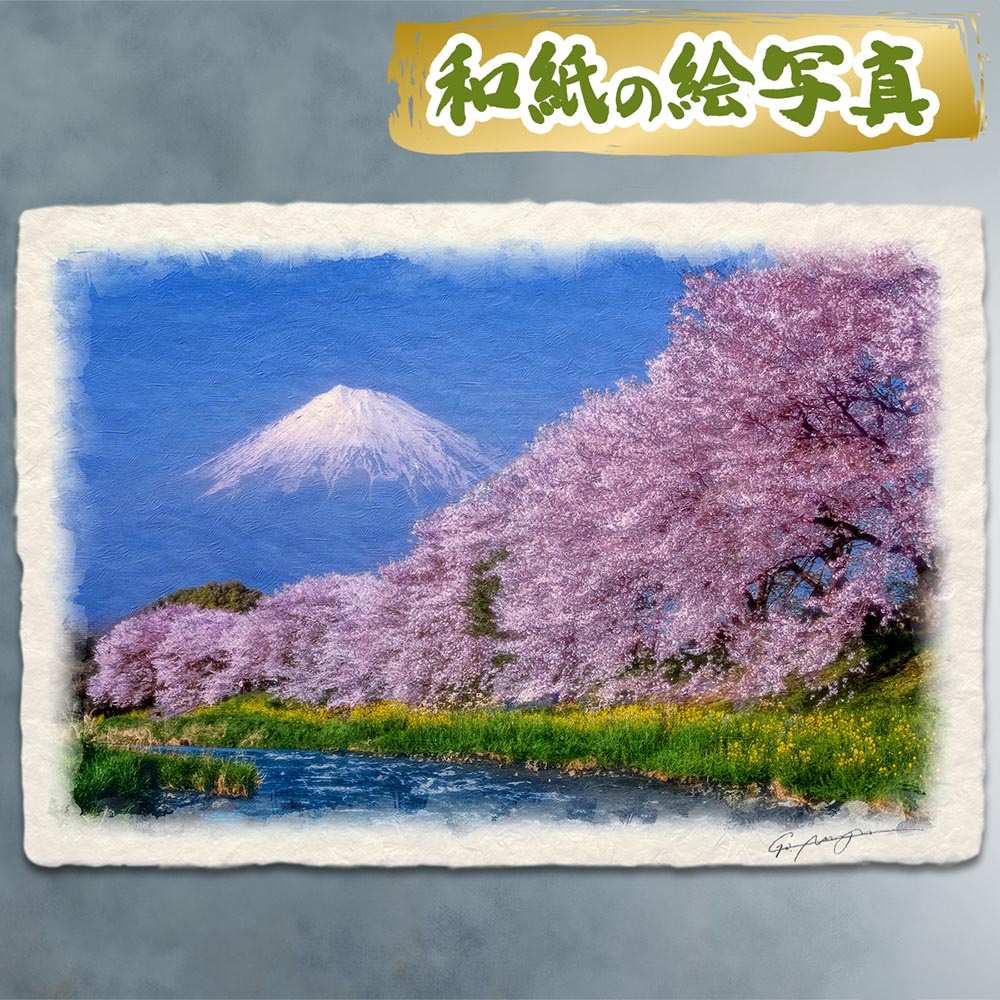 tpp-fuji-sakura-rvr.jpg